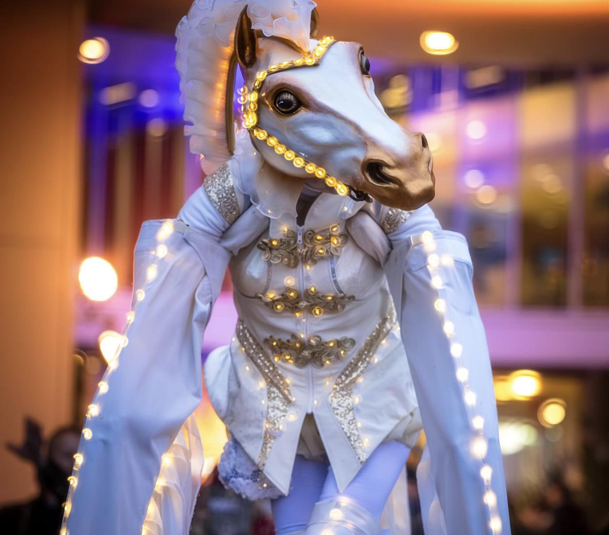 Scherm_afbeelding-2026-02-19-om-17.05.29-kopie-4 kopie 26