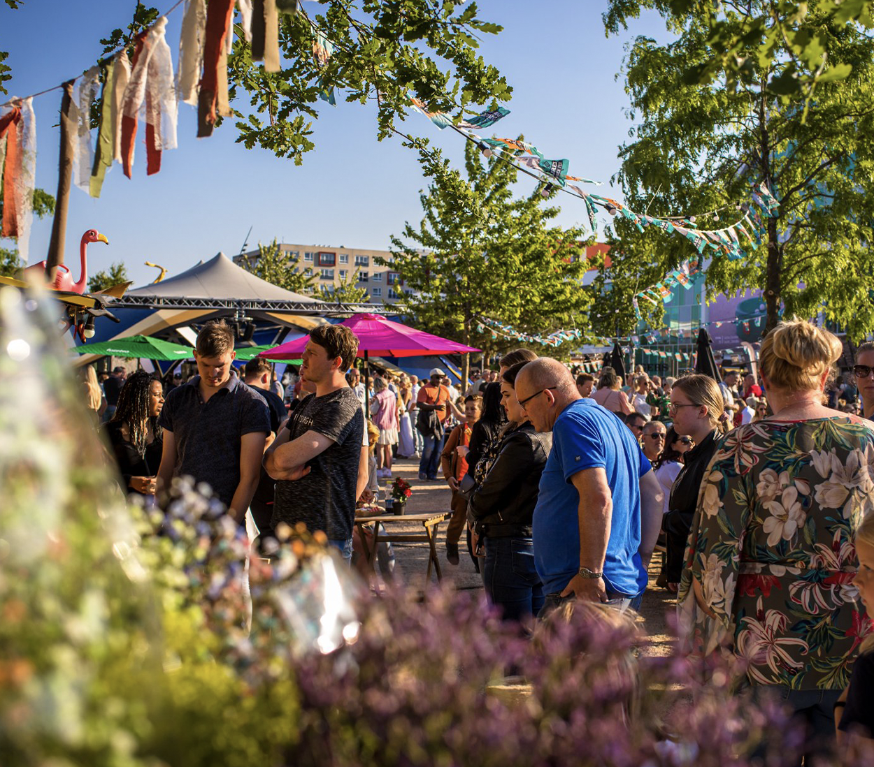 Scherm_afbeelding-2026-02-19-om-17.05.29-kopie-4 kopie 5